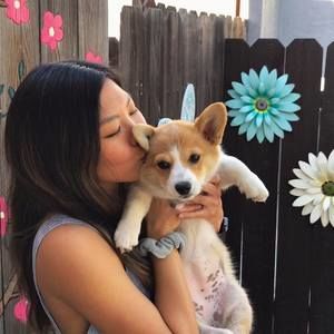 Meet your Posher, Tabby